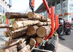 Ein Hoelzernes Erlebnis In Jena Zog Tausende Besucher 22